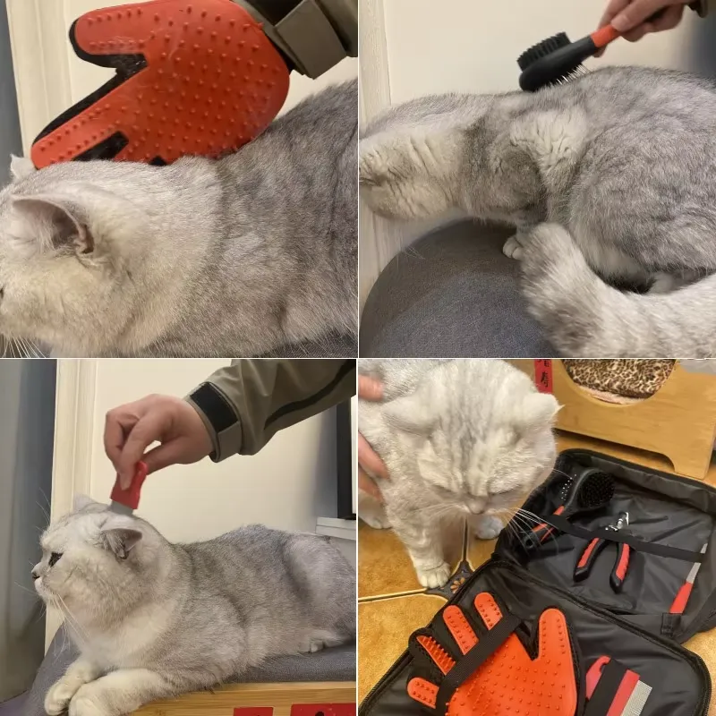 طقم تجميل محمول فاخر للكلاب بش - مراجعة House Hair Care وسعره