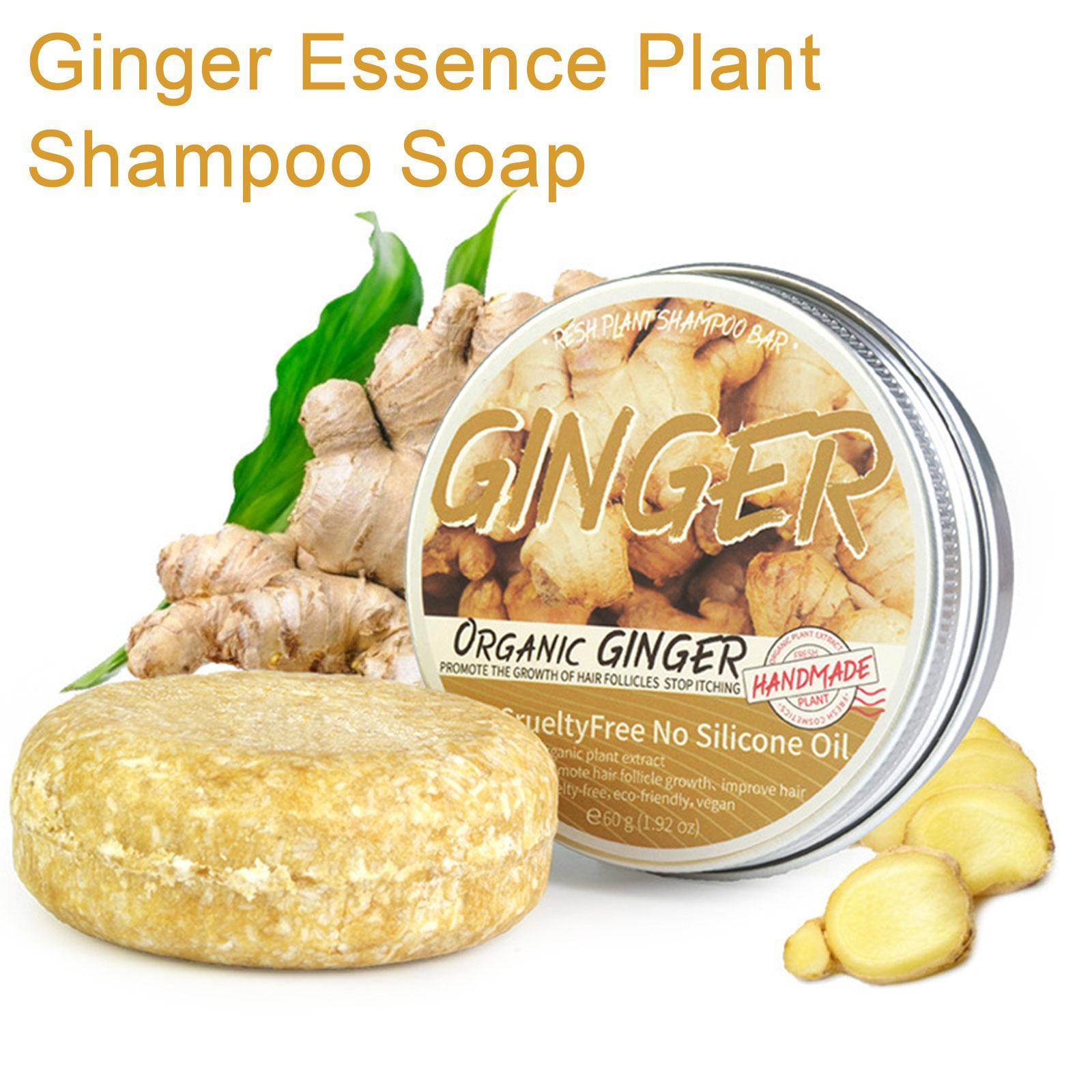 شامبو بطعم الزنجبيل للعناية با - مراجعة Hair Care Pantene وسعره